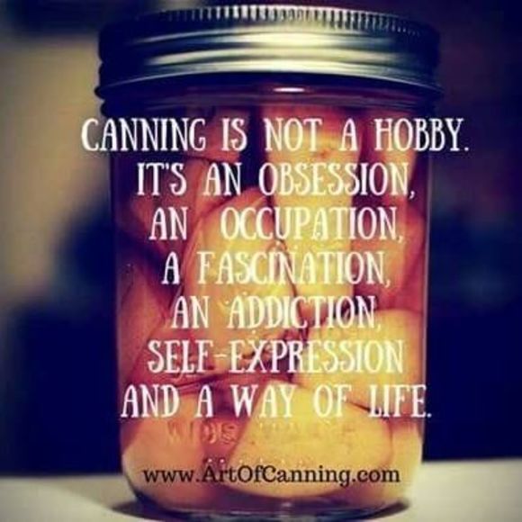 Meet your Posher, Debbie - Picture 1 of 1